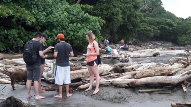 Review Steven Fultz Volunteer in Costa Rica Sea Turtle Conservation Program