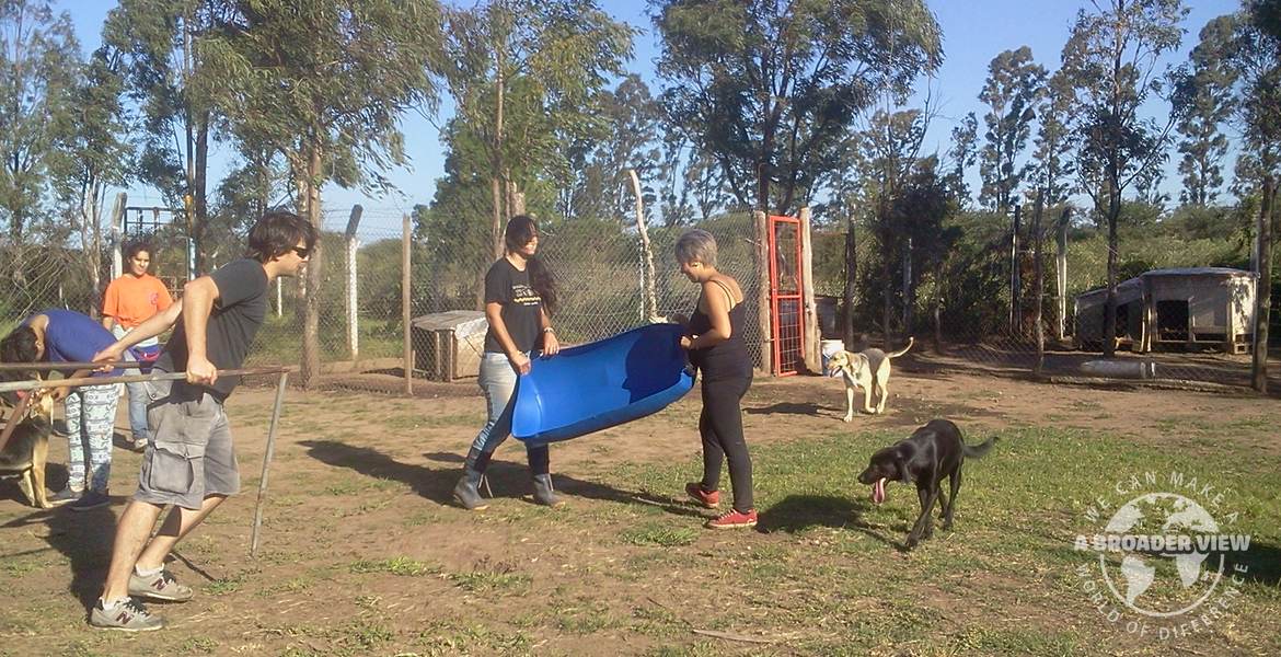 Volunteer in Argentina Animal Rescue Center – Dog Shelter
