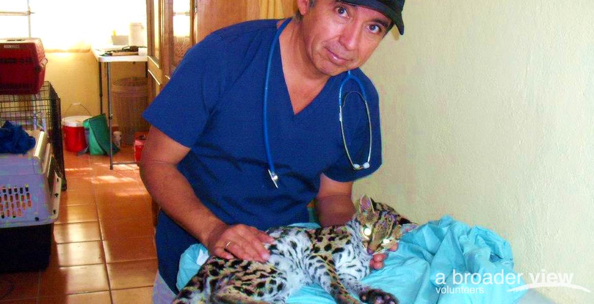 Volunteer in Guatemala: Conservation / Animal Welfare (Xela)